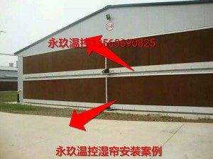 看片APP大全安裝現場