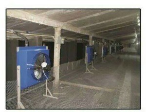 在线观看免费看片安裝現場