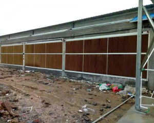 看片APP大全安裝現場