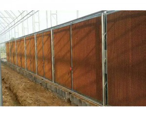 看片APP大全安裝現場