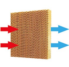 煙台看片APP大全（水簾）