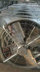 牛舍在线看片福利