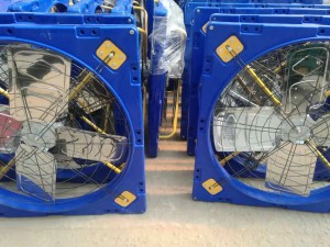 牛舍在线看片福利